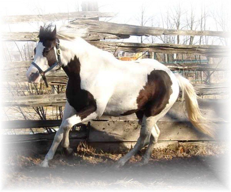Strait Catalack