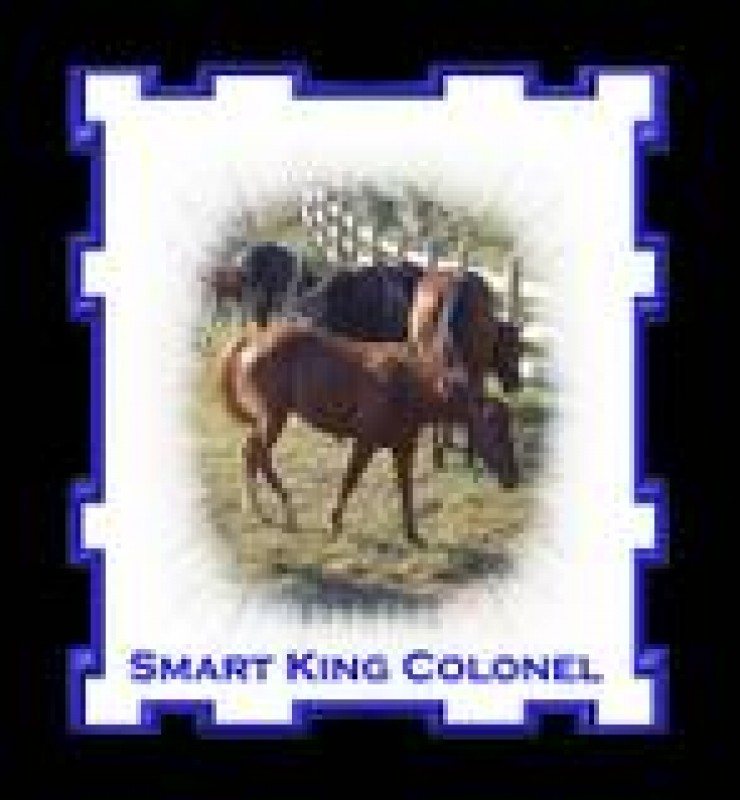 Smart King Colonel
