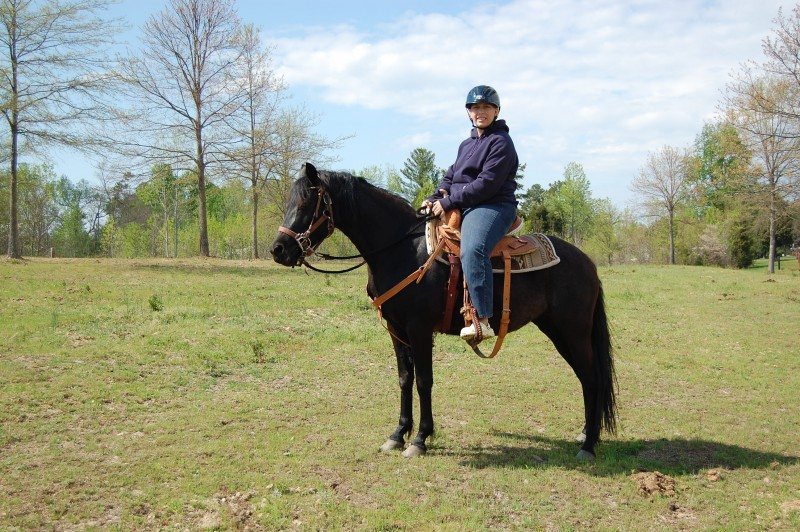 Flicka