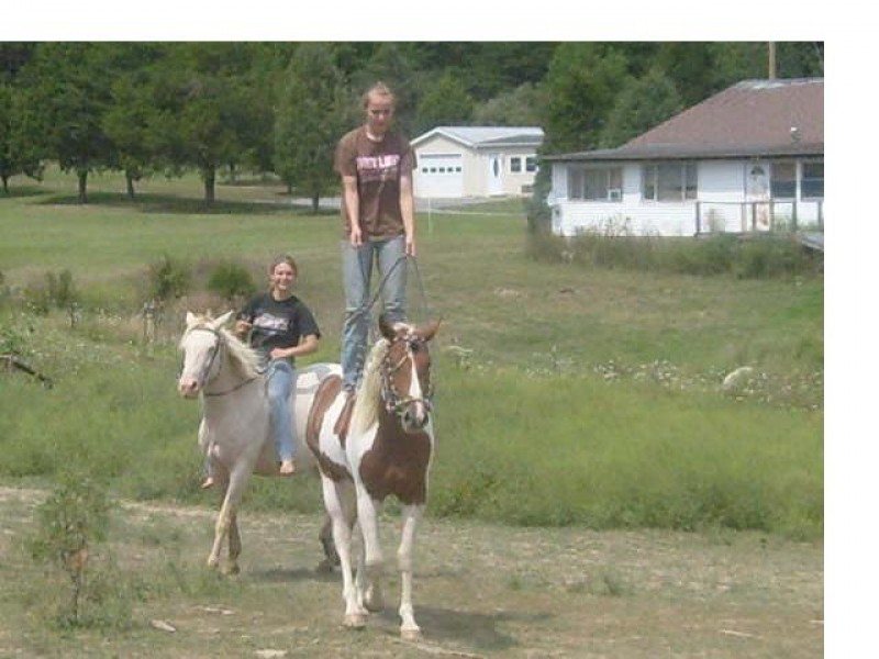 Horse training avalible!!