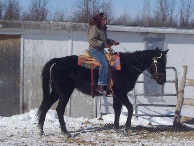 Voxen is a great guy!! He is sweet and loves attention