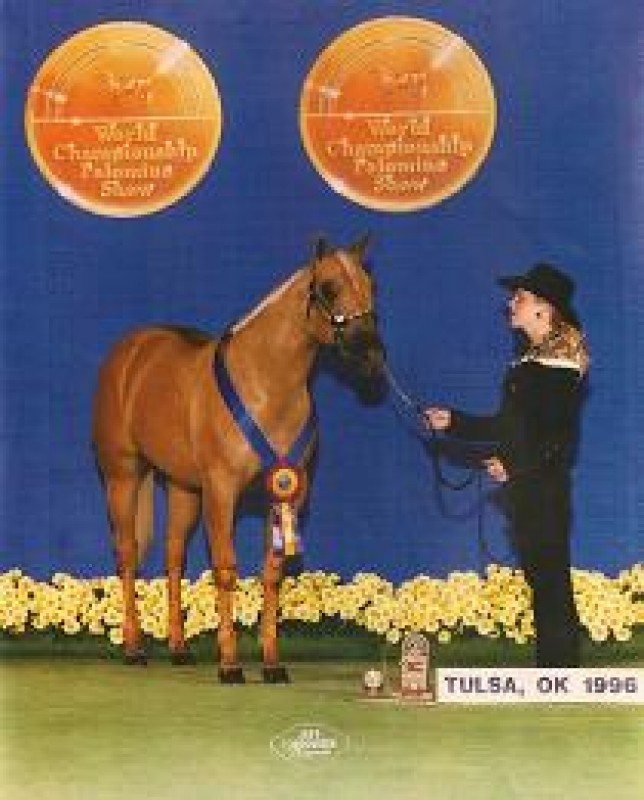 Melody Sunburst