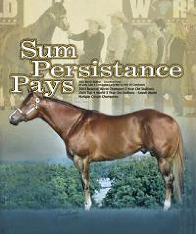 SUM PERSISTANCE PAYS