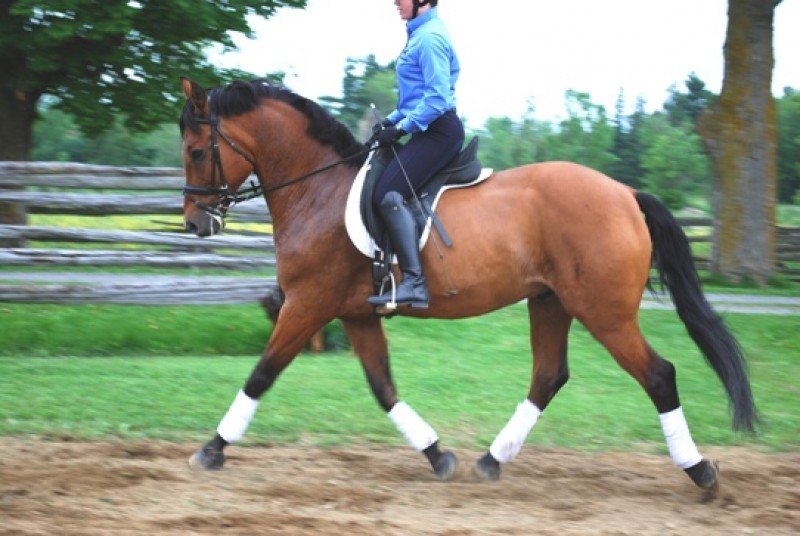 Quatre G Beauty Wild G- Valentin.