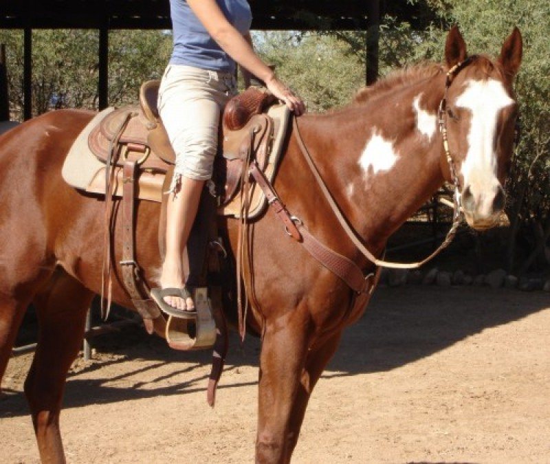 MP Wall Street Cowboy SOLD!!