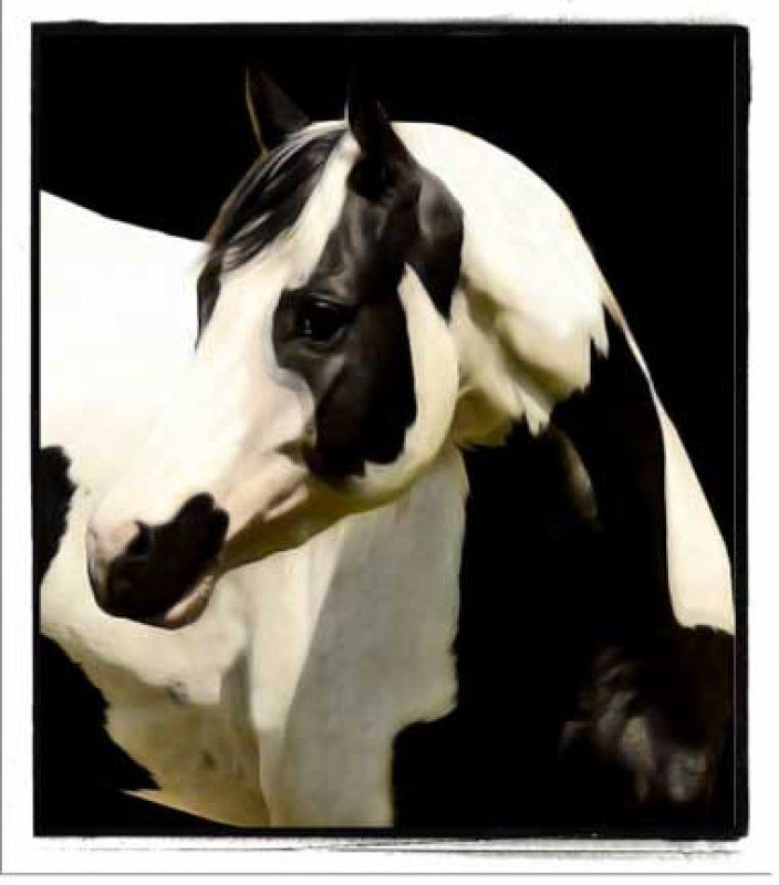 Strait Catalack