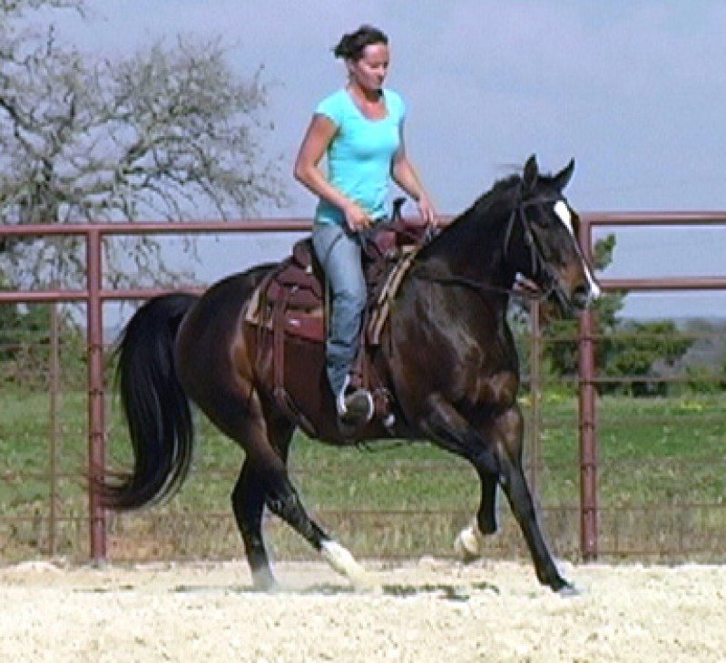Lacy Zantanon (Lacy)
