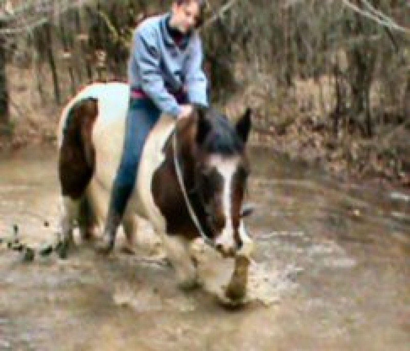 Prince and Shiloh
