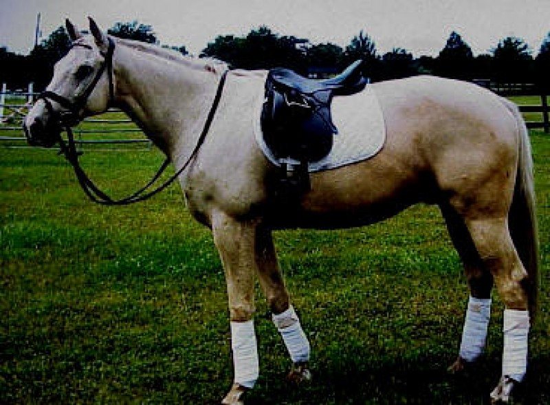 Beau