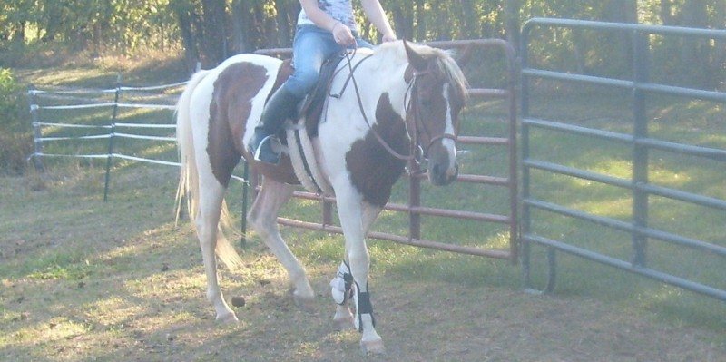 Cowboys Son Deebar