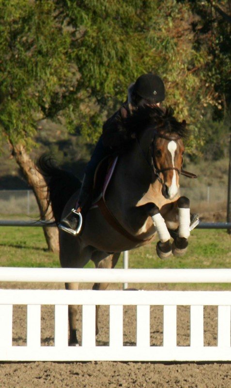 Tiny Tim