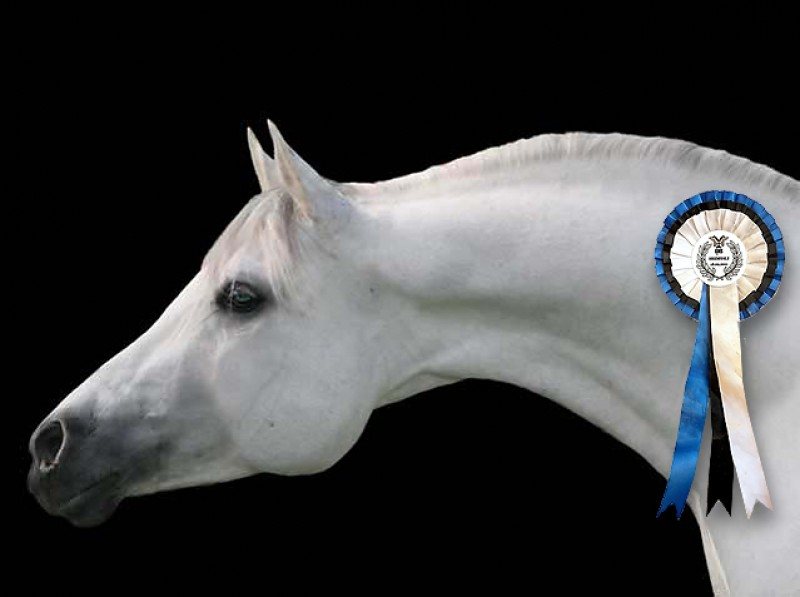 Brahman