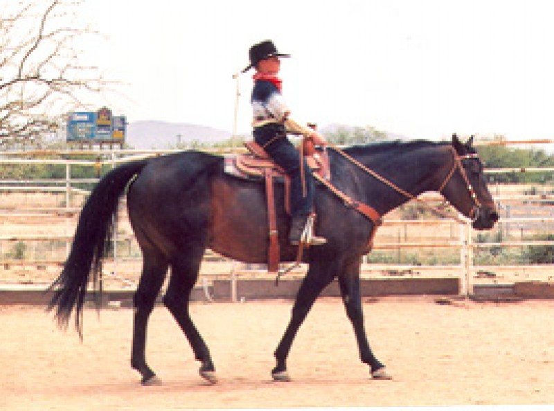 JILLS BOSTON DIAMOND