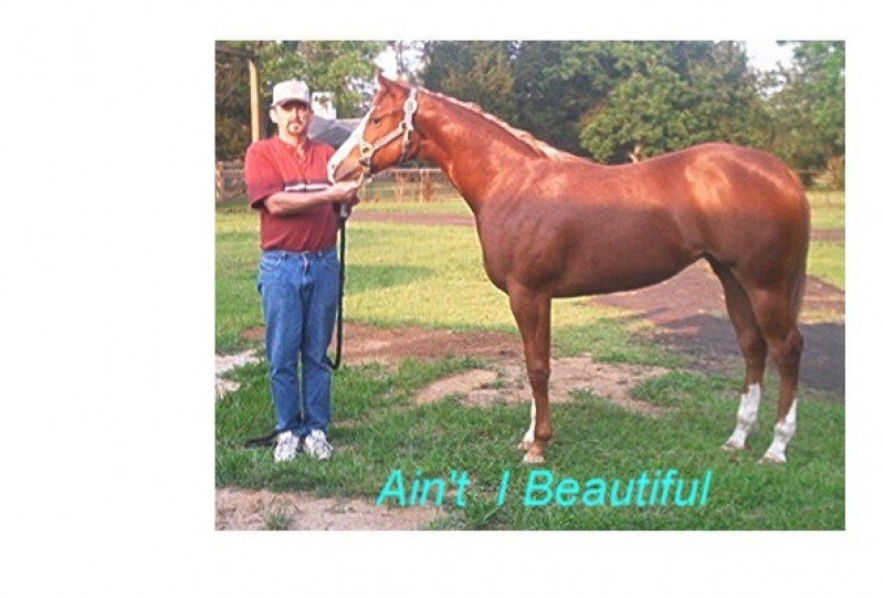 aint i beautiful