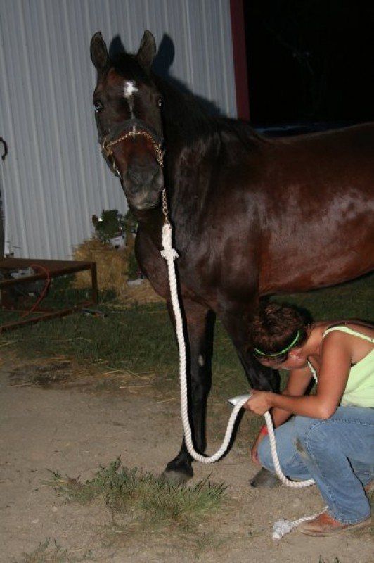 Flicka